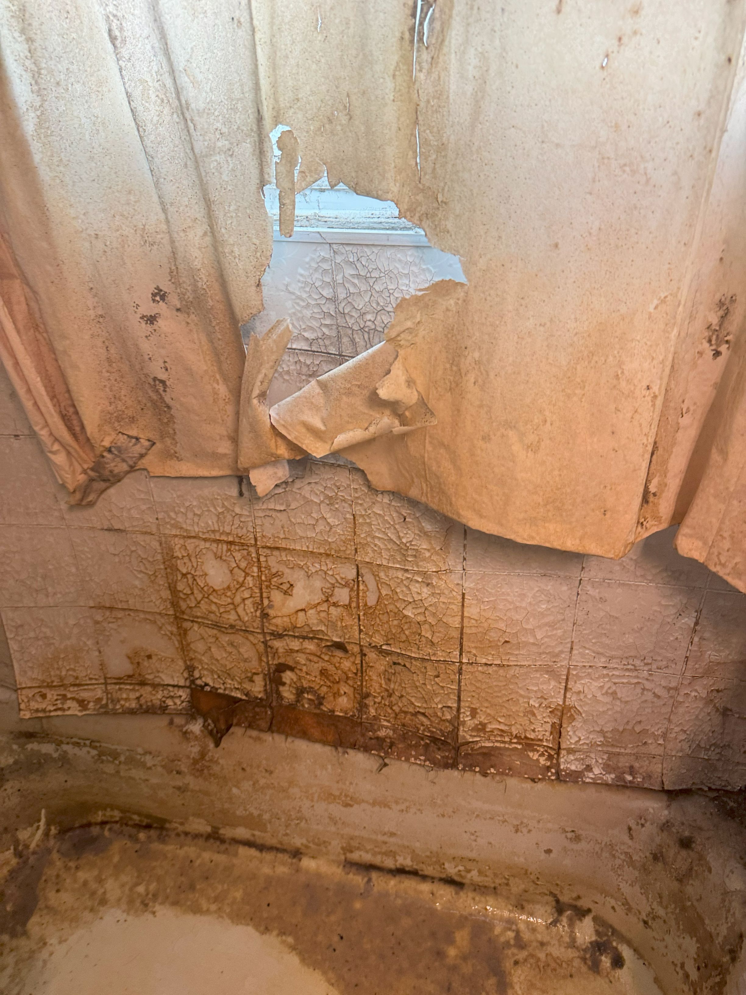 Bathroom - Before Bathtub